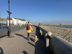 Sunny but very cold!